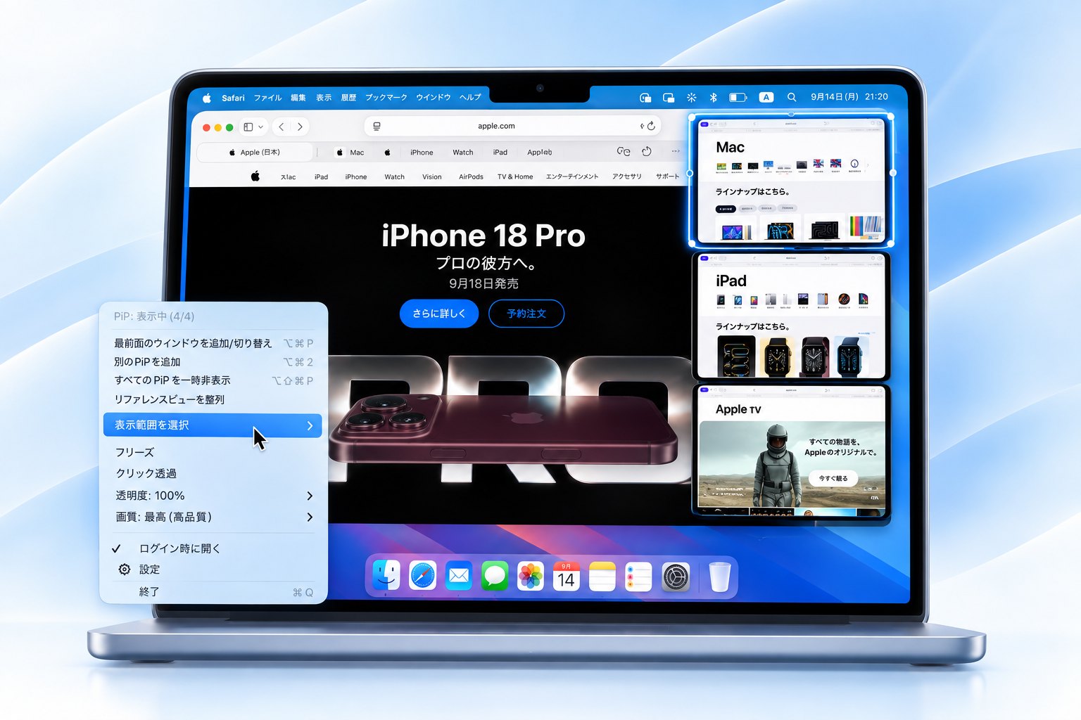 表示範囲の選択や複数の参照ビューを使うPocket Screenの利用イメージ