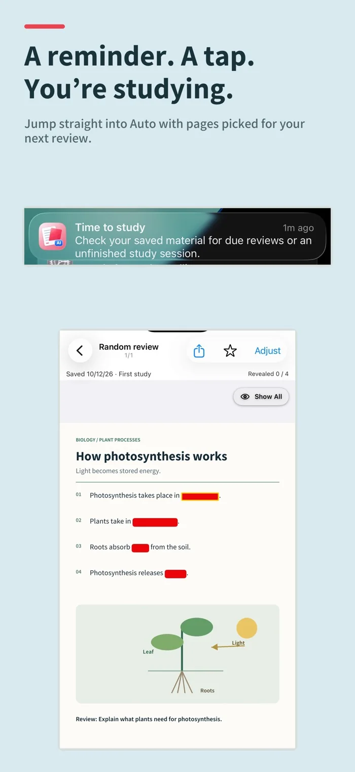 Review from a reminder