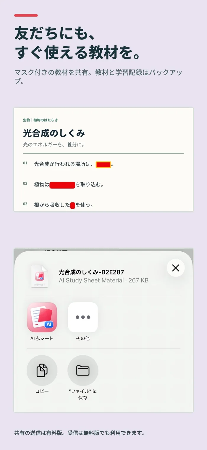 共有とバックアップ